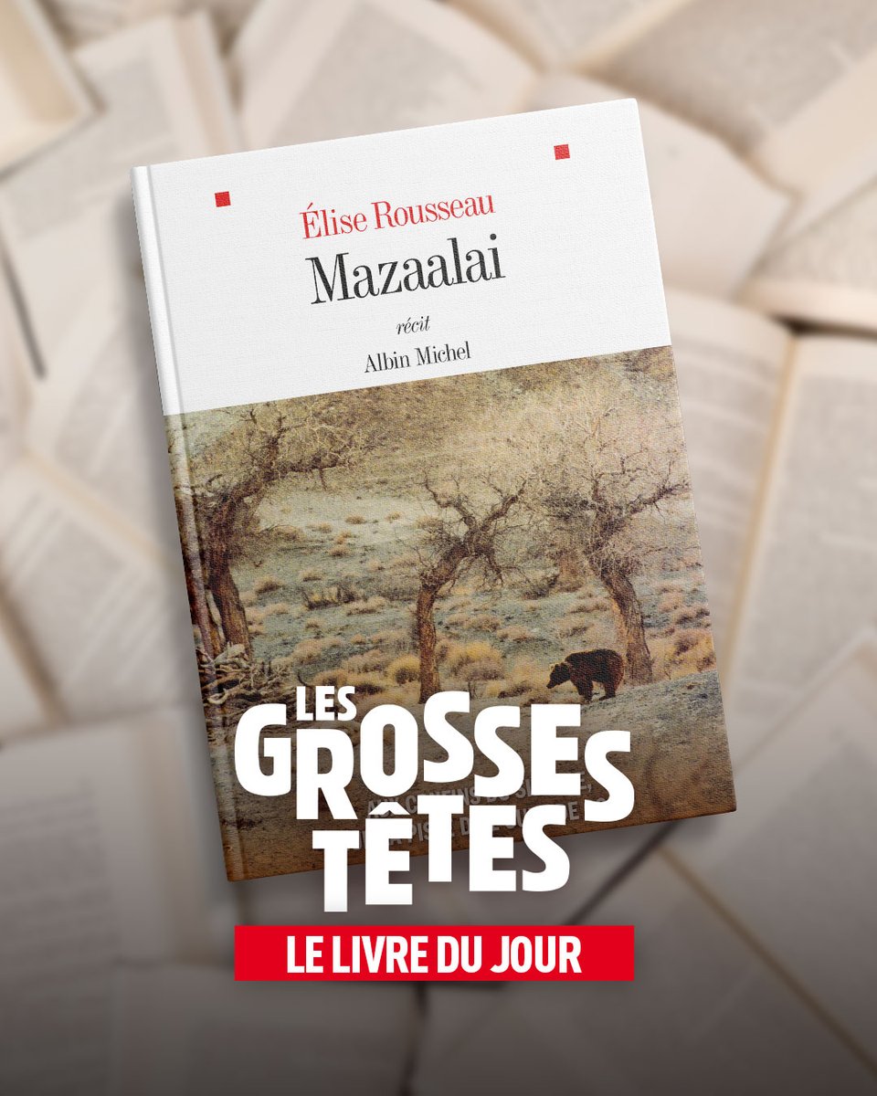 🎙️📚🧐 Découvrez le livre du jour dans 'Les Grosses Têtes' Il s'agit de 'Mazaalai' d'Élise Rousseau publié aux éditions @AlbinMichel