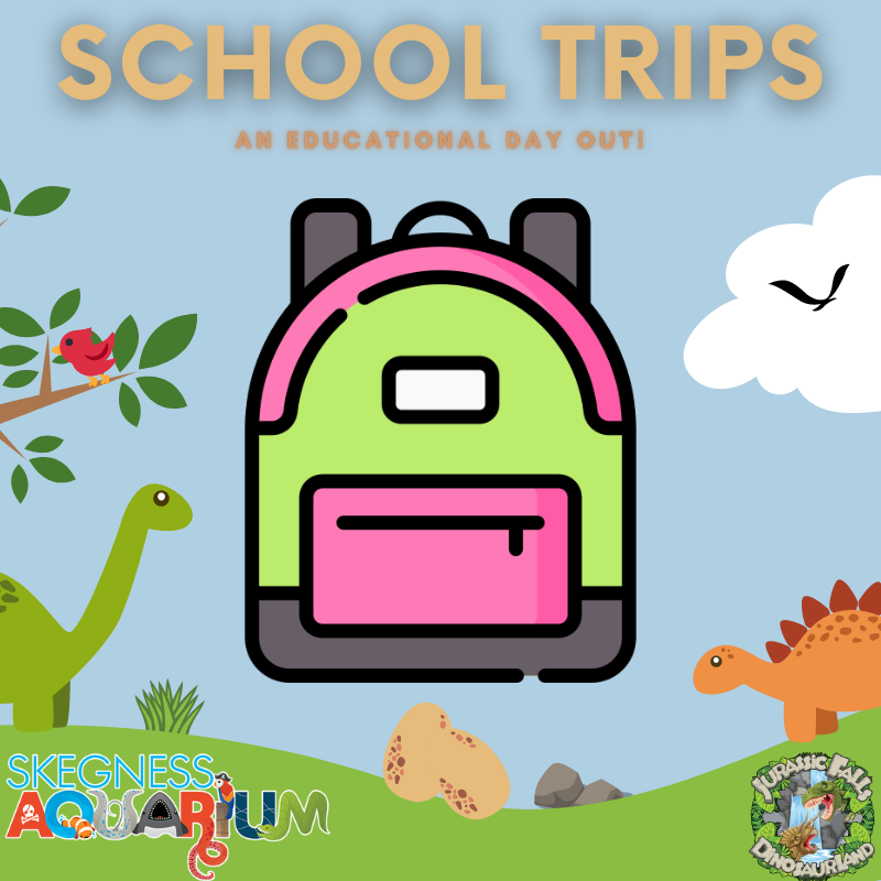 Skegness Aquarium (@skeg_aquarium) on Twitter photo A school trip with a difference π«π
Learn here at Skegness Aquarium!
Email reception@skegness-aquarium.uk to book now! A school trip with a difference π«π
Learn here at Skegness Aquarium!
Email reception@skegness-aquarium.uk to book now!