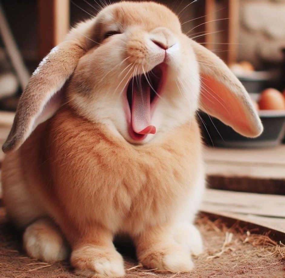 Yawn