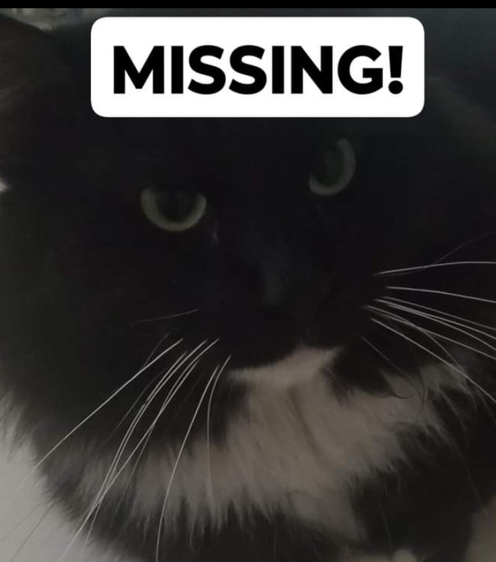 Cj 🌵 Arizona tweet media