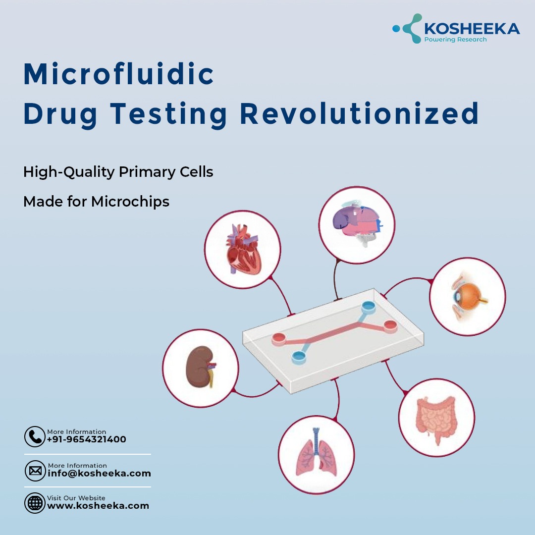 Optimize your #microfluidic drug testing platforms with our specialized #primarycells. Gain deeper insights into cellular responses with a focus on precise functionality.

Call +91-965-4321-400 to get a quotation for primary and #stemcells for your #research.

#BIORESEARCH