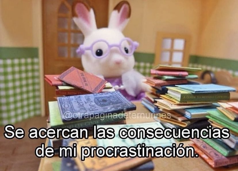 AveAveces's tweet photo. Yo después de haber pateado todo lo del fin de semana largo para esta semana porque “ya fue yo voy a disfrutar” https://t.co/Ol5xClgEJq