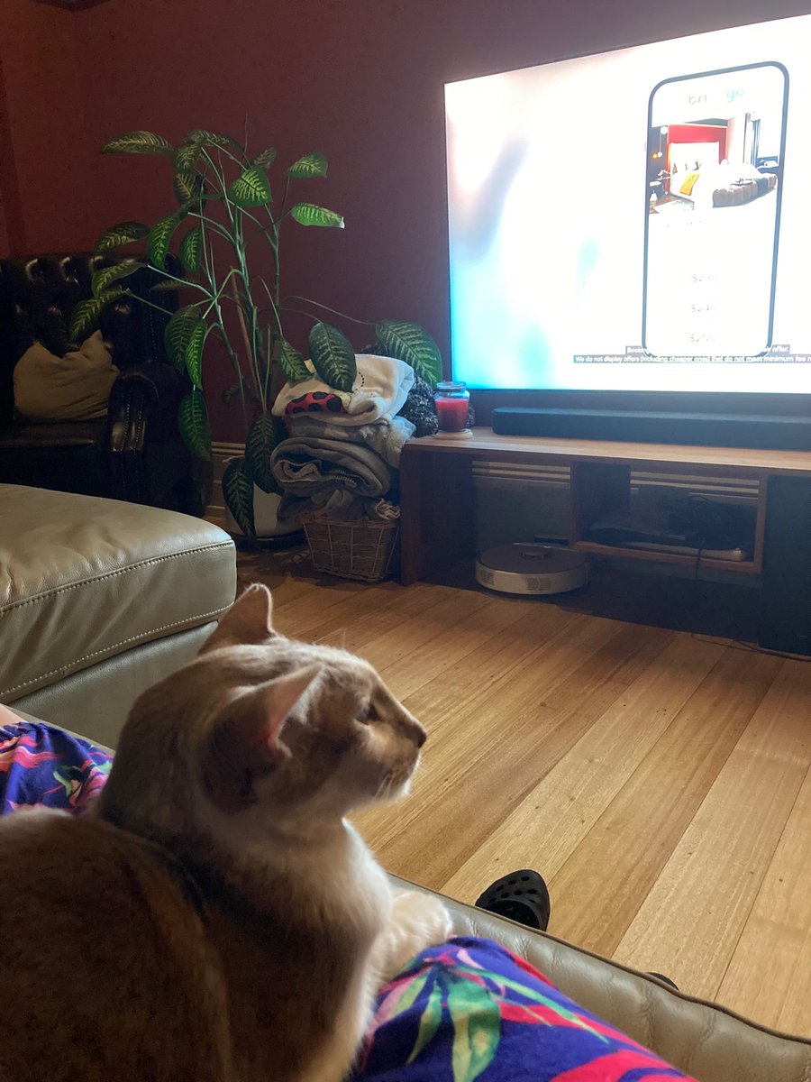 House sitting near the city. My lap has been claimed. That’s the real reason I’m here. 💗🐈 ok, the luxury venue was a bit of a draw too 😉
