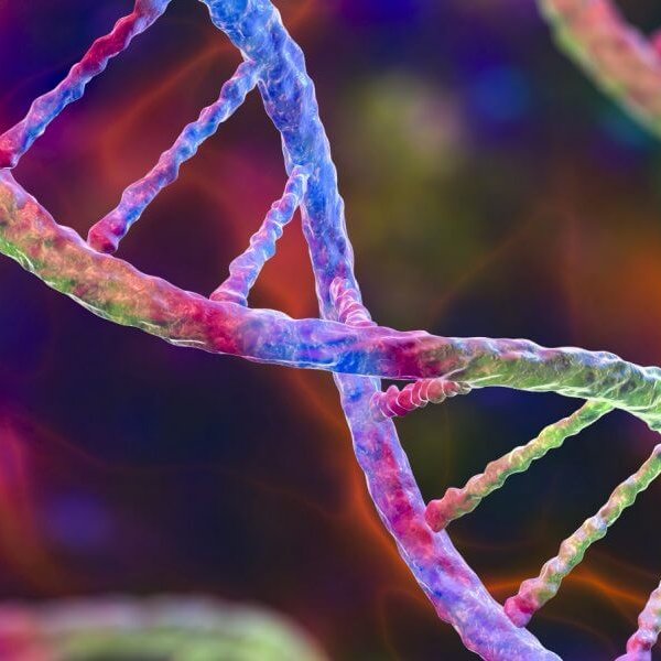 Recherche de pointe à l’@uqtr Le laboratoire TRACES: faire parler l’ADN ancien neo.uqtr.ca/2024/03/13/le-… #uqtr #neouqtr #ADN