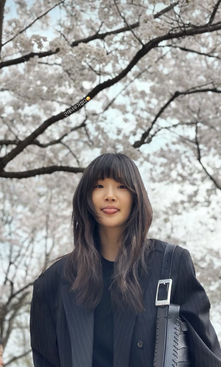 daadaagom's tweet photo. 귀여워!! 꽃놀이 다녀왔나 봐🌸 https://t.co/CABWJrMZhW