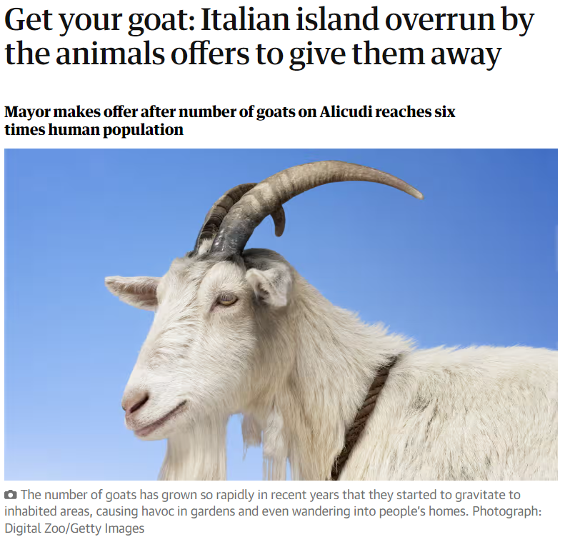 On the five-square km Alicudi island, the smallest of Sicily’s Aeolian archipelago, there are too many goats, so the municipal administration of Lipari has offered to give the animals away to anyone willing to take one in. Be a GOAT, adopt a goat. April 8, 2024