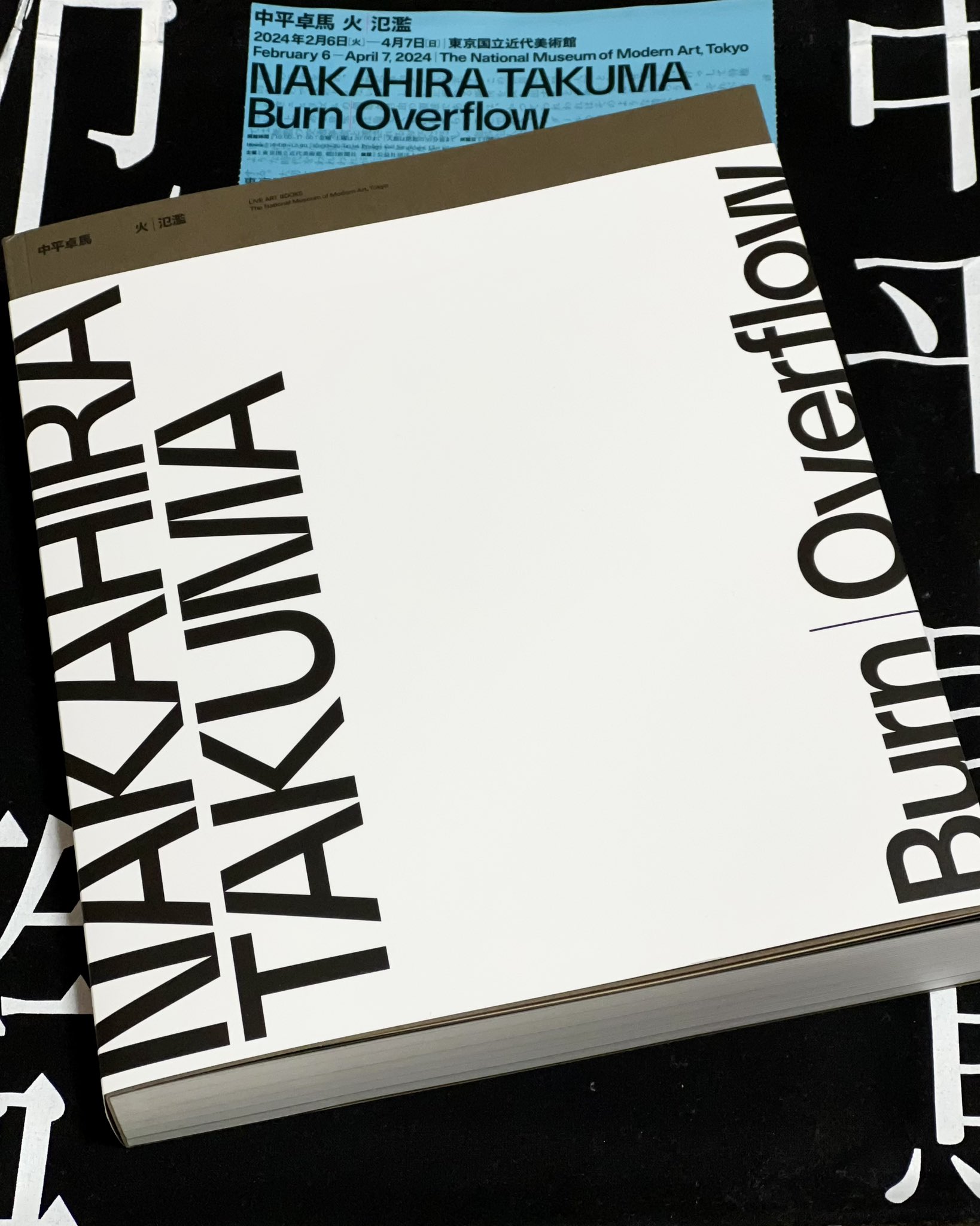 東京国立近代美術館「中平卓馬 火―氾濫」展 公式カタログ 図録 中