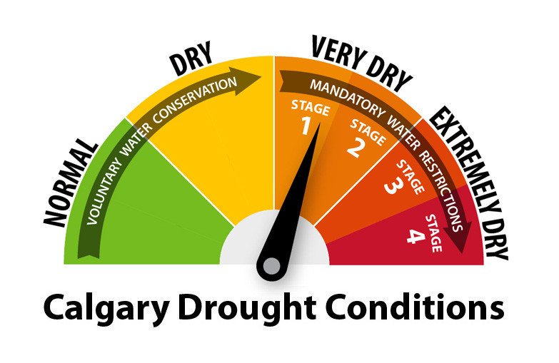 The topic on everyone's mind lately is the potential drought and current dryness. RÜTaround has you covered. Grow better, stronger plants using less water. No gimmicks, just proven methods.
☀️🤎🍅
@cbcdragon
#rütaroundgrows #drought #conservewater #growlocal #MondayMotivation