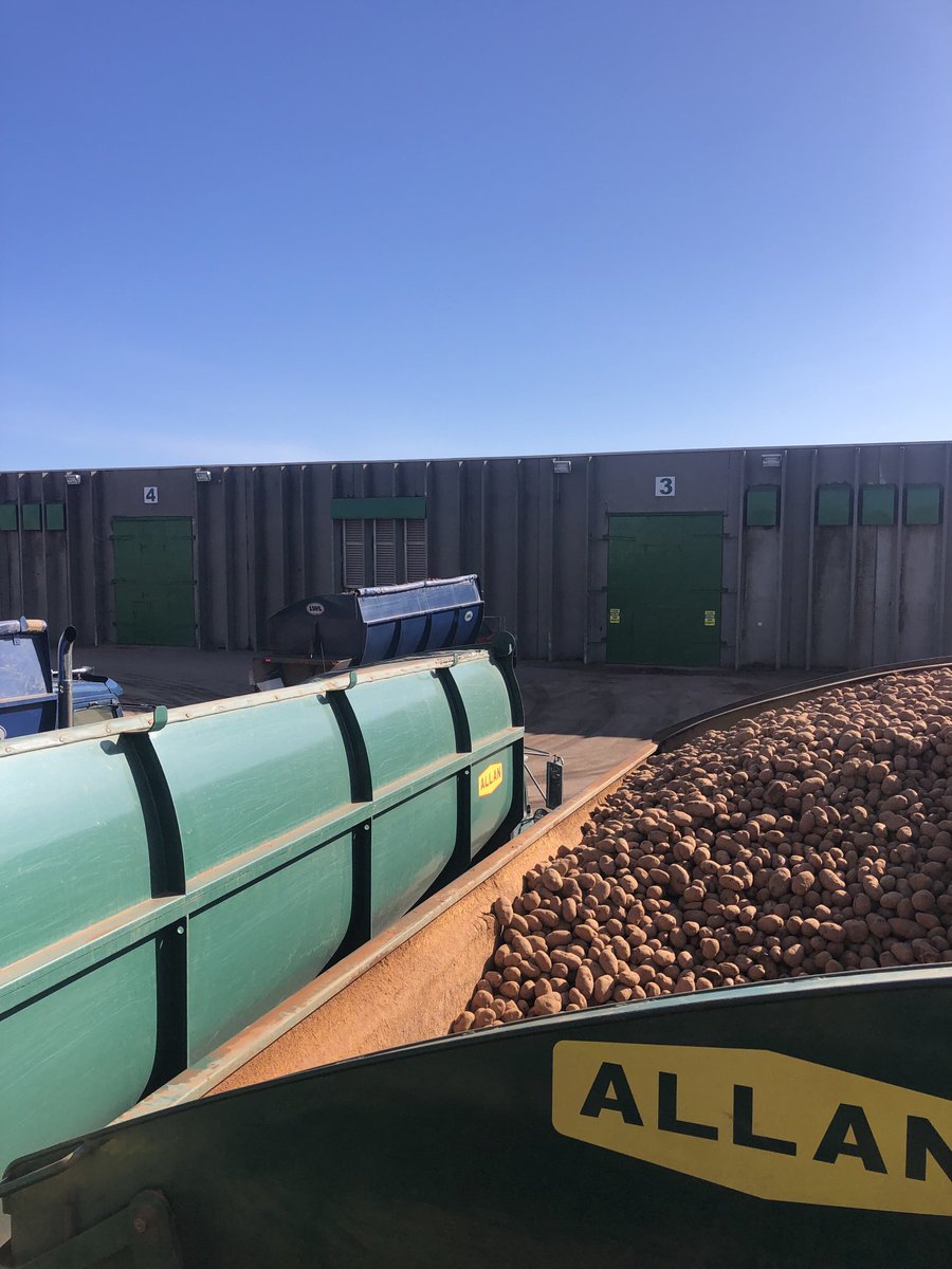 Last day hauling for awhile #peipotatoes