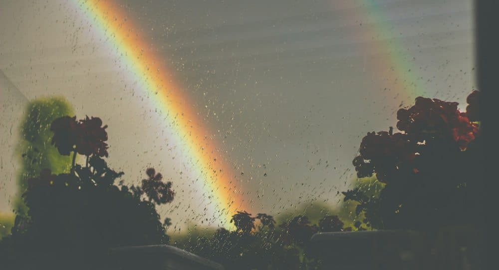 Financial supports for farmers key as wet weather persists - farmers urged to engage with accountants and financial advisers #irish #agri #business #farming #weather @bankofireland thinkbusiness.ie/articles/farme…