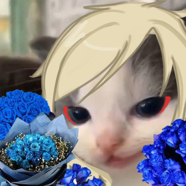 #anitwt yokk mutualan sama akuhh. Akunku sangat minor friendly, jadi para adik-adik dipersilakan buat ketik hmu. Anti hw sama akun yg terlalu eighteen plus plis dni. Help rt yakk ❤️🥰