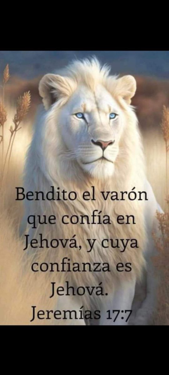 Bendecido inicio de semana confiando en Jehová en todo momento 🙏❤️💫
