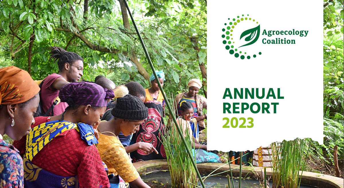 ✨Our Annual report is out! 
Look back with at what we achieved together with our members in 2023. 
👉Available in English, French and Spanish: buff.ly/43RVqJz
#agroecology #agroecologyWorks #agroecologyNow