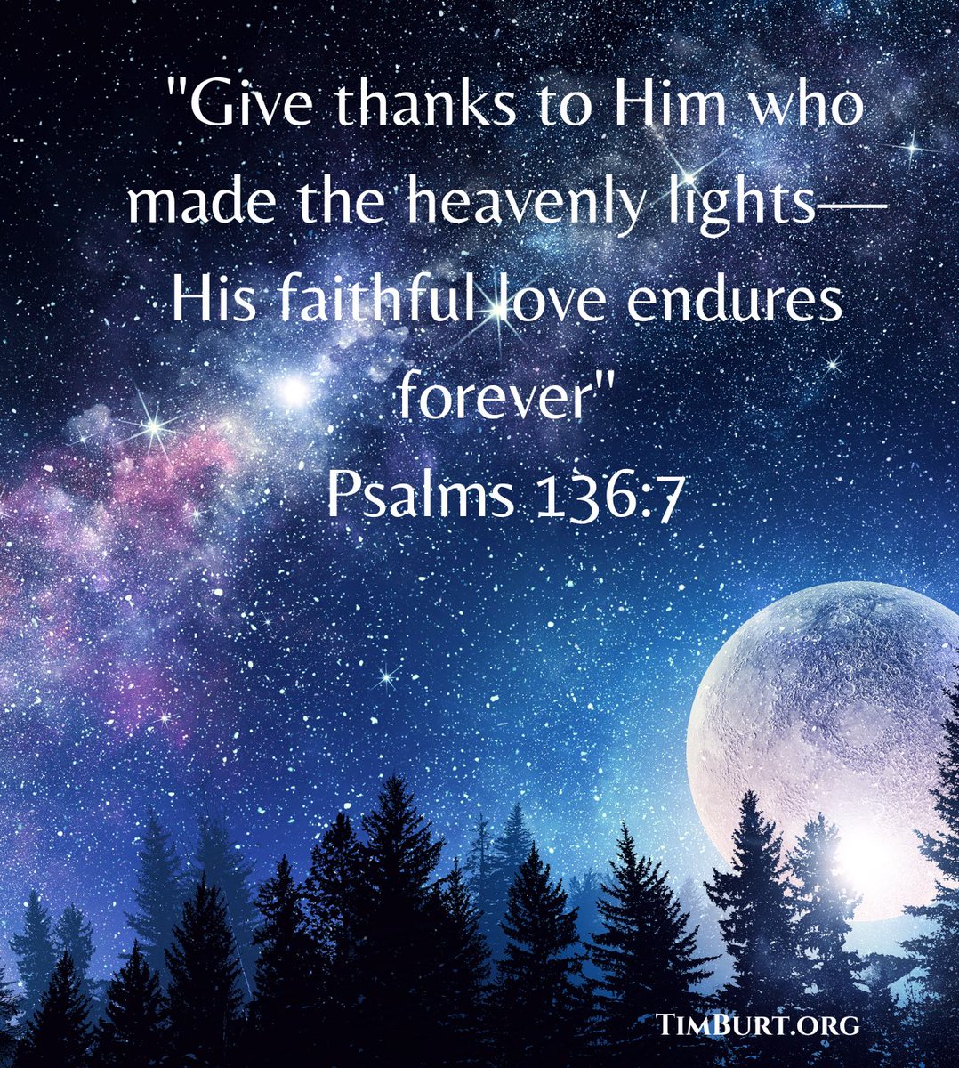 TimBurt's tweet image. 