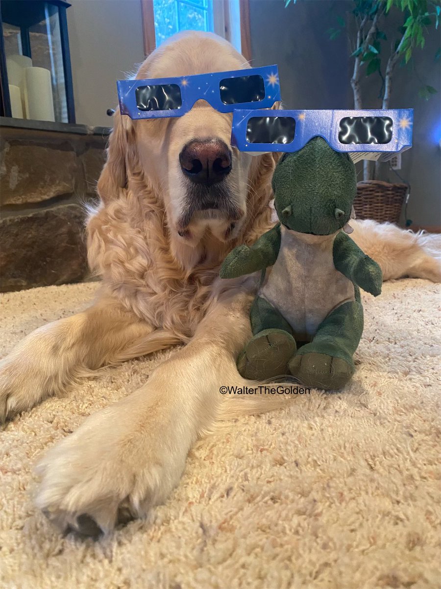 HAPPY ECLIPSE DAY FRENS Raining now with a chance of kinda sorta cloudy clear this afternoon. #lessmurraymorewalter #lessmurraymoreeclipse #Eclipse2024