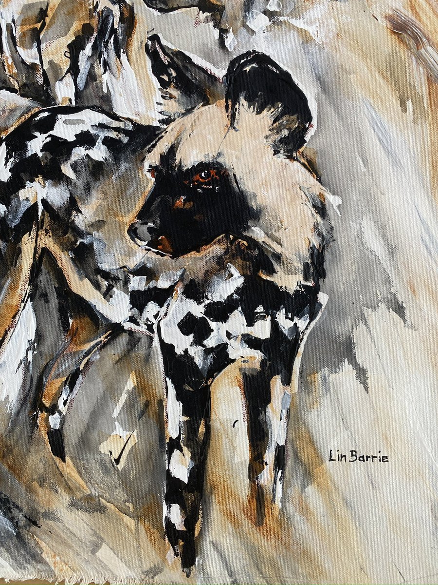 The @PaintedDogPDC newsletter encapsulates why  I love being #partofthepack -  #watching and #painting these incredible #familymembers #socialspecies #endangeredanimals -