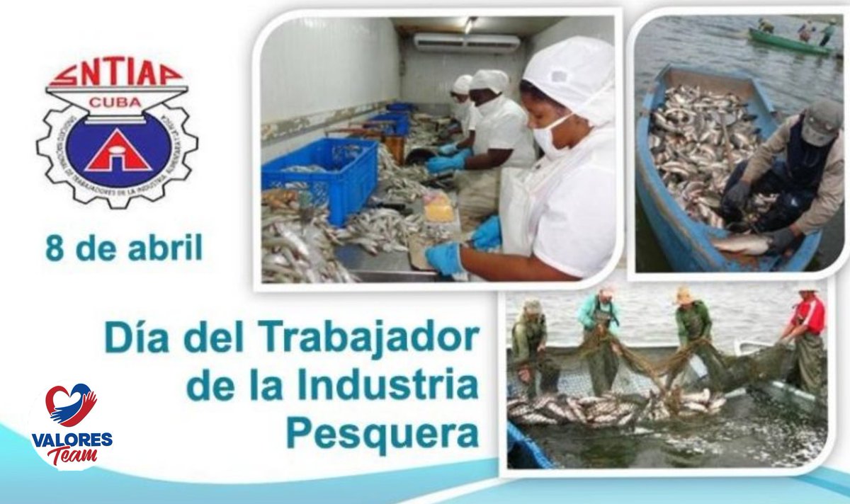 #CubaViveEnSuHistoria 🇨🇺 🗣 Los trabajadores de la pesca celebran su día. ✨ Comprometidos para producir alimentos para el pueblo, lograr el encadenamiento productivo con otras empresas y actores económicos del territorio. ❗✨Felicidades ✨❗ #ValoresTeam 🕊 #Cuba 🇨🇺