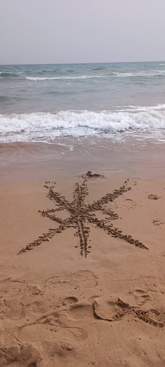 piedrademo's tweet image. 