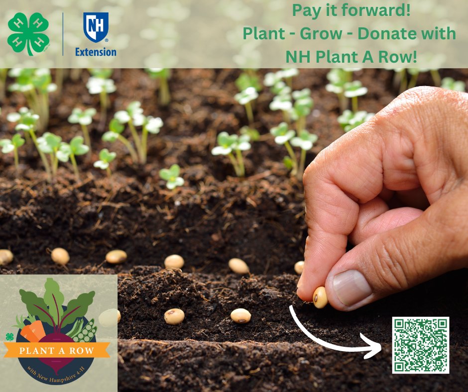 SHAREFund tweet media