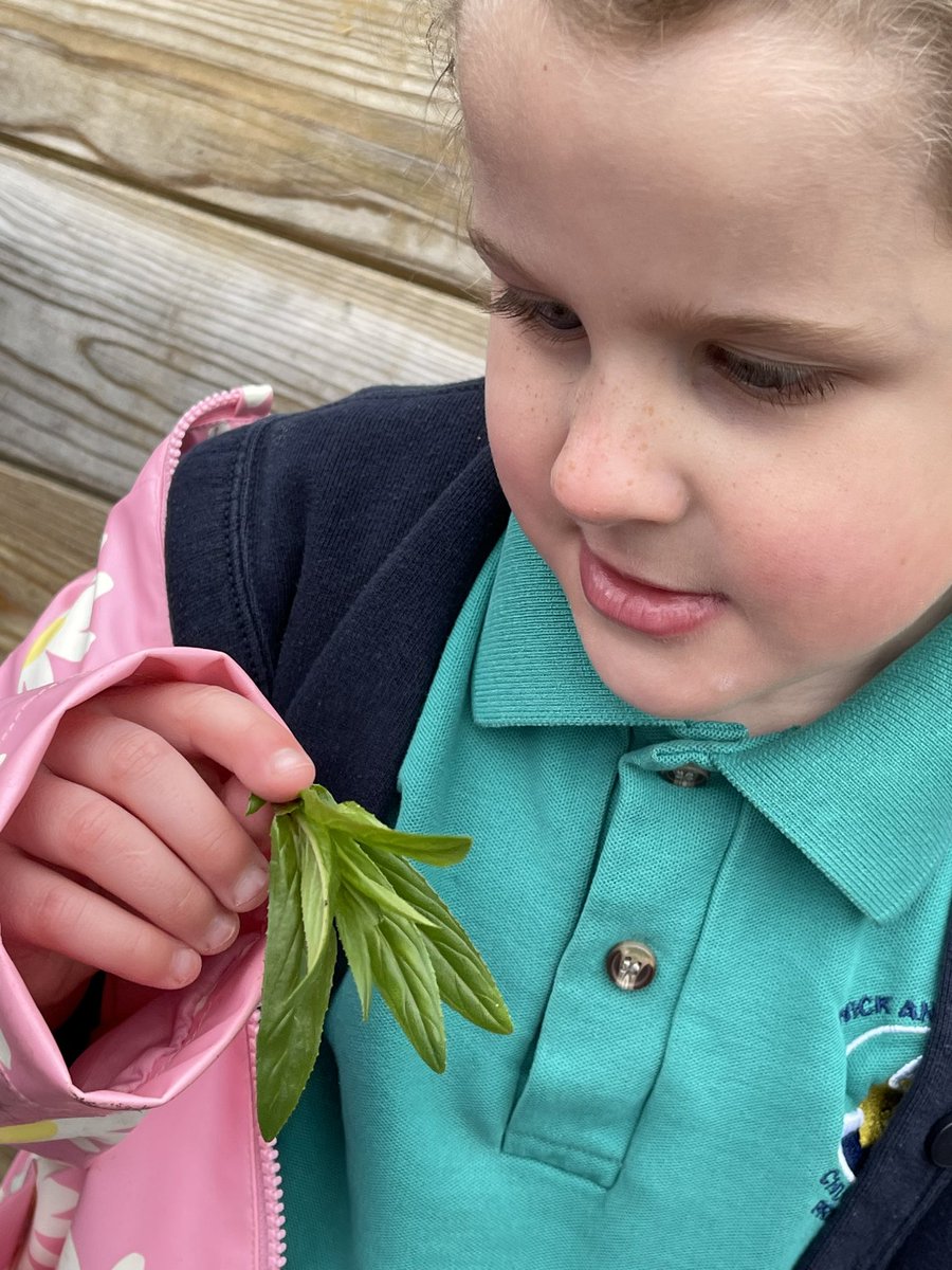 #fs #dewi investigating signs of spring! @FSAForestSchool @CoedCadw #wellbeing