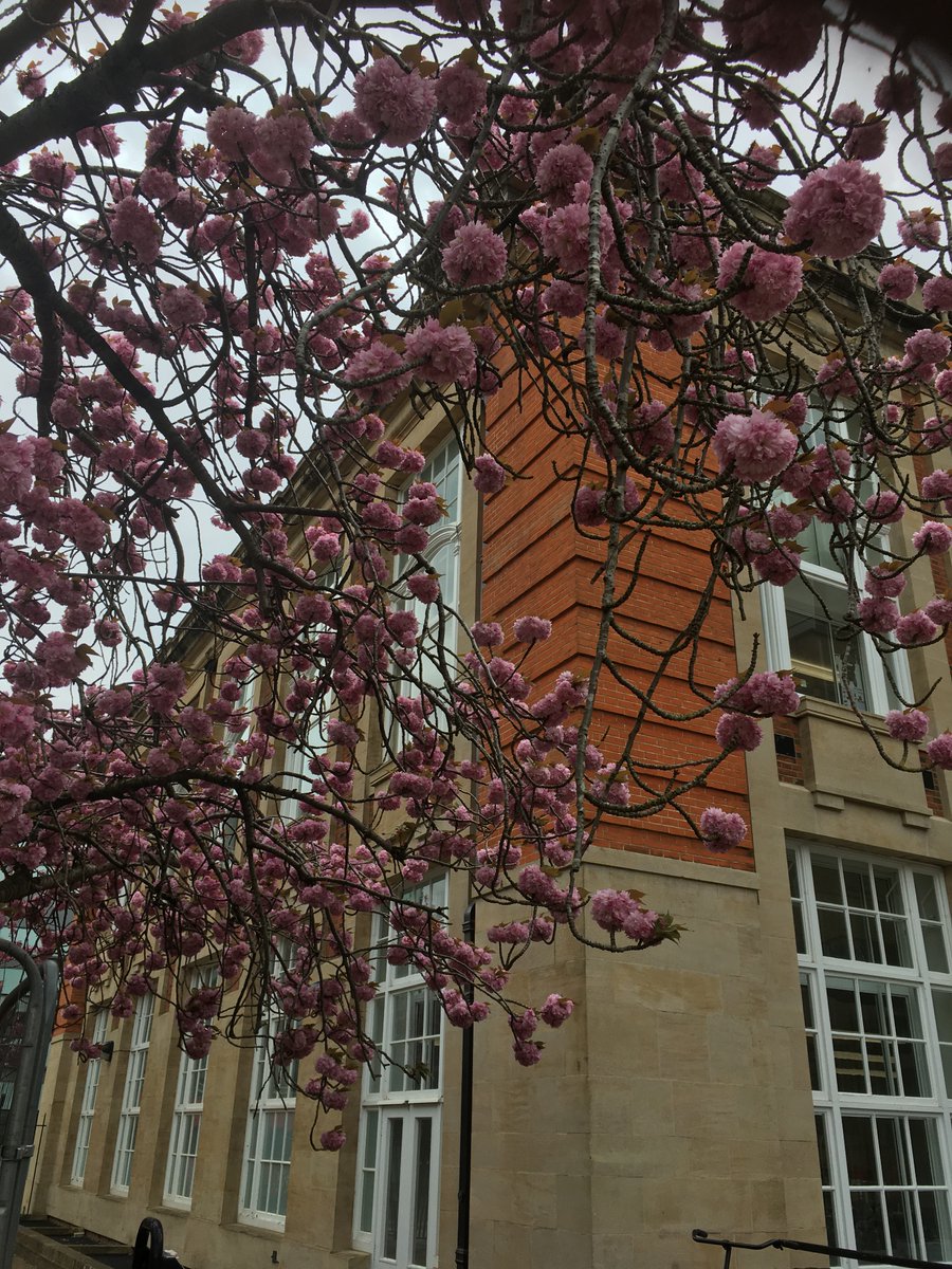 Oxford Radiocarbon Accelerator Unit (@oxradiocarbon) on Twitter photo Come and join us as a post-doctoral researcher in compound specific 14C! Develop methods to date specific amino acids and lipids, collaborate with NEIF users, and develop your own projects. Deadline 07/05/24. <a href="/school_of_arch/">Oxford School of Archaeology</a> <a href="/isotopesUK/">National Environmental Isotope Facility</a> jobs.ac.uk/job/DGZ916/pos…. Come and join us as a post-doctoral researcher in compound specific 14C! Develop methods to date specific amino acids and lipids, collaborate with NEIF users, and develop your own projects. Deadline 07/05/24. <a href="/school_of_arch/">Oxford School of Archaeology</a> <a href="/isotopesUK/">National Environmental Isotope Facility</a> jobs.ac.uk/job/DGZ916/pos….