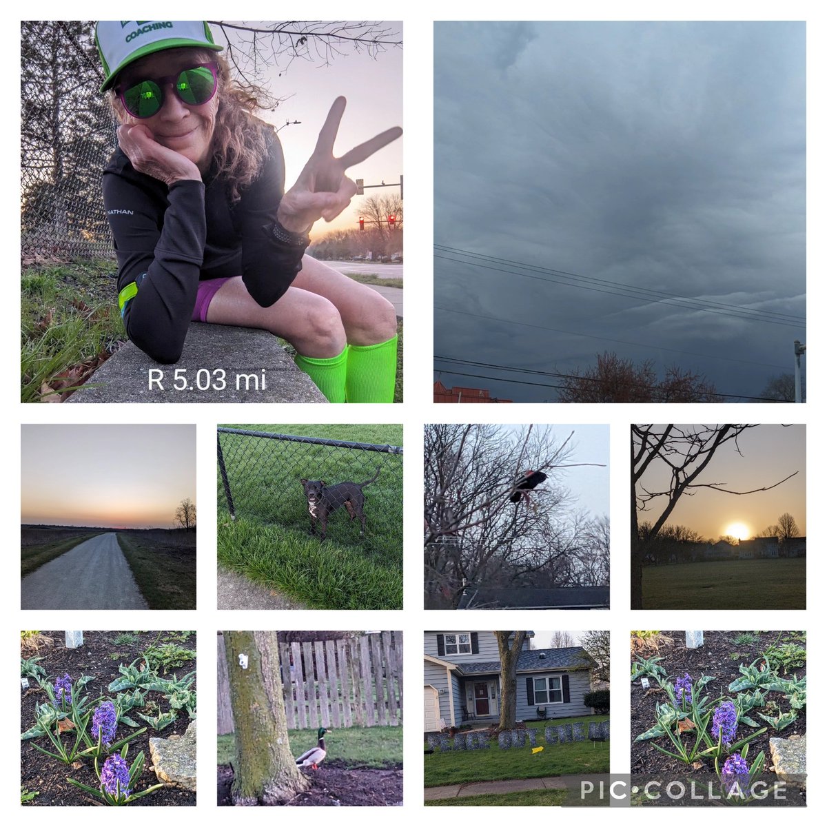 Beautiful day ..48F, sunny. That dark sky was from yesterday while driving. Yikes. Saw H&H 🦆this morning. Love the 'peace out chemo' sign. Run was easy peasy. Legs were tired. Happy Total Eclipse Day. Enjoy your adventure. 🏃‍♀️☮️🩷🌑 @runningpunks #goodr #squirrelsnutbut