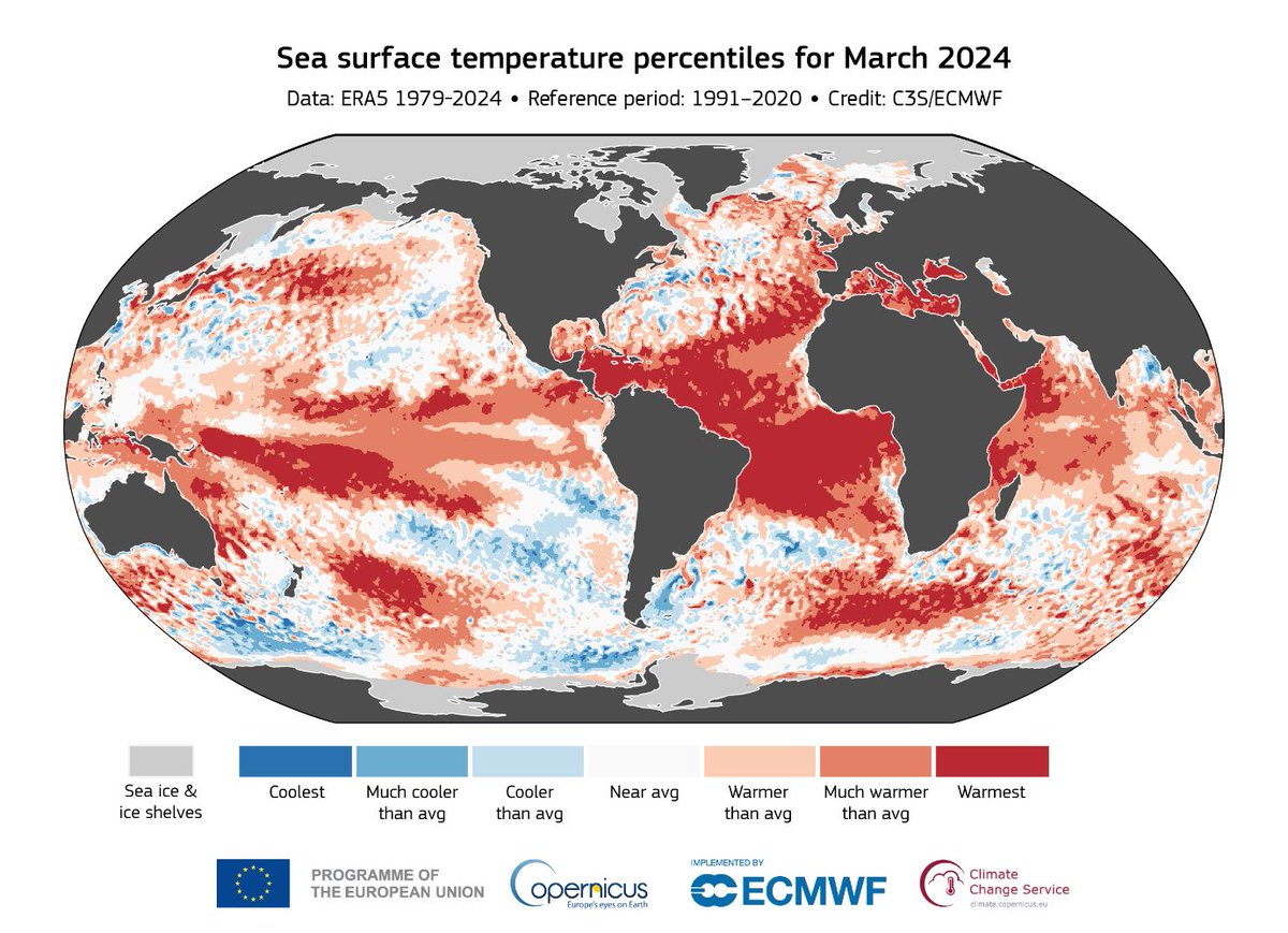 El planeta encadena en marzo diez meses consecutivos de temperaturas récord

#CrisisClimática
#CambioClimático

efeverde.com/planeta-encade…