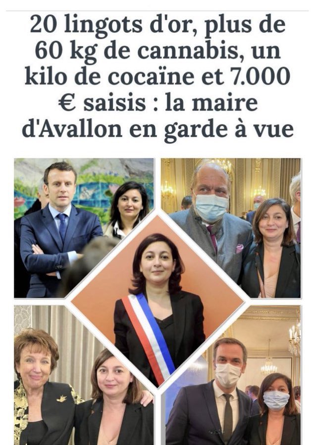 法国女市长家中查获60公斤大麻与毒品