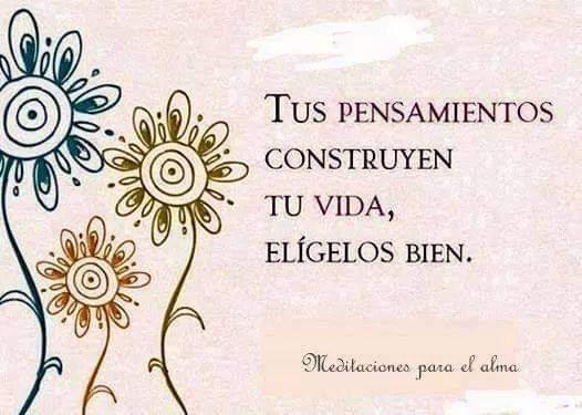 Consciencia ♥ (@Consciencia1111) on Twitter photo 2024-04-08 12:49:37