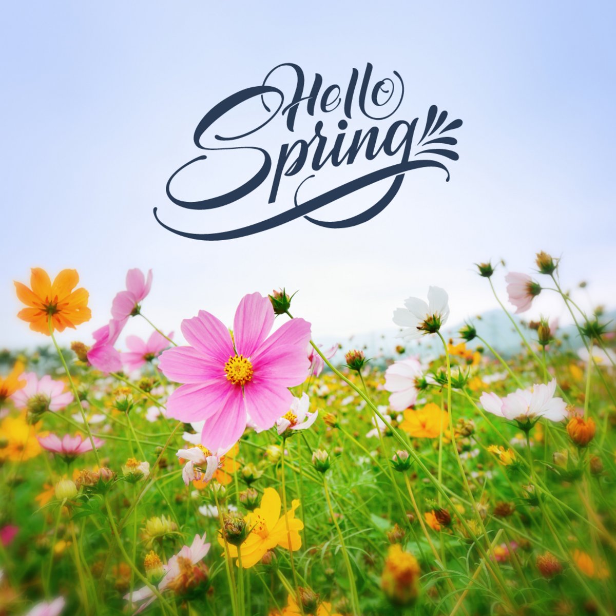Spring is a time for fresh starts and new adventures. 🌼 Shake off those winter blues and stop and smell the wildflowers in Oregon. We've got a comfy room just for you! #springtravel