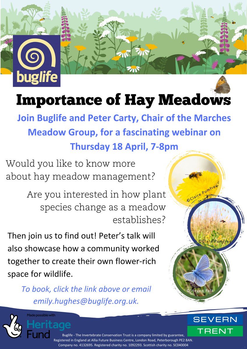Join our Get the Marches Buzzing team & Marches Meadow Group Chair, Peter Carty, for a fascinating webinar, the Importance of Hay Meadows! 🗓️ Thursday 18 April 🕙 19:00-12:00 📌 Online Want to know more about hay #meadow management? 👇 trybooking.com/uk/events/land… #GtMB
