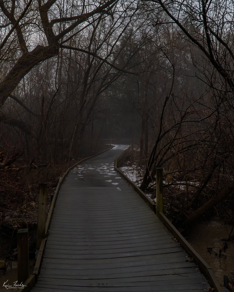 This landscape photo I took reminds me of the movie, Hansel and Gretel. instagram.com/unspoken__visu… #moods_in_frame #moodygrams #moodygrammers #moodydays #moodyvibes #moodyscenery #livefolk #nomadict #nomadiclife #natgeoyourshot #nomadiccreators #sonyalpha #wildernessculture