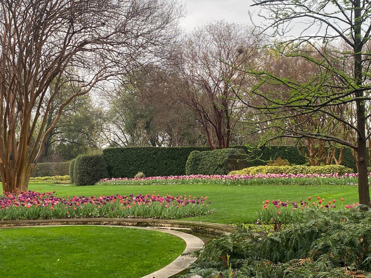 ReginaTMontoya's tweet image. I&apos;m excited to witness the eclipse at The Dallas Arboretum with my Wellesley College roommate. Projections say up to one million people could travel to Texas for this phenomenon. Traffic will be heavy, so give yourself plenty of time. #eclipse2021 #DallasArboretum