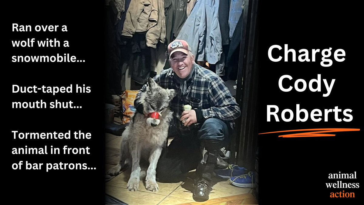 Join @WaynePPacelle LIVE today to discuss the horrific story of animal abuse coming out of Wyoming. #codyparker #chargecodyparker #EndAnimalCruelty #AnimalRights #StopAnimalAbuse #ProsecuteAnimalCruelty #FelonyForAnimalAbuse #DemandJustice fb.me/e/22QK3P8Dg