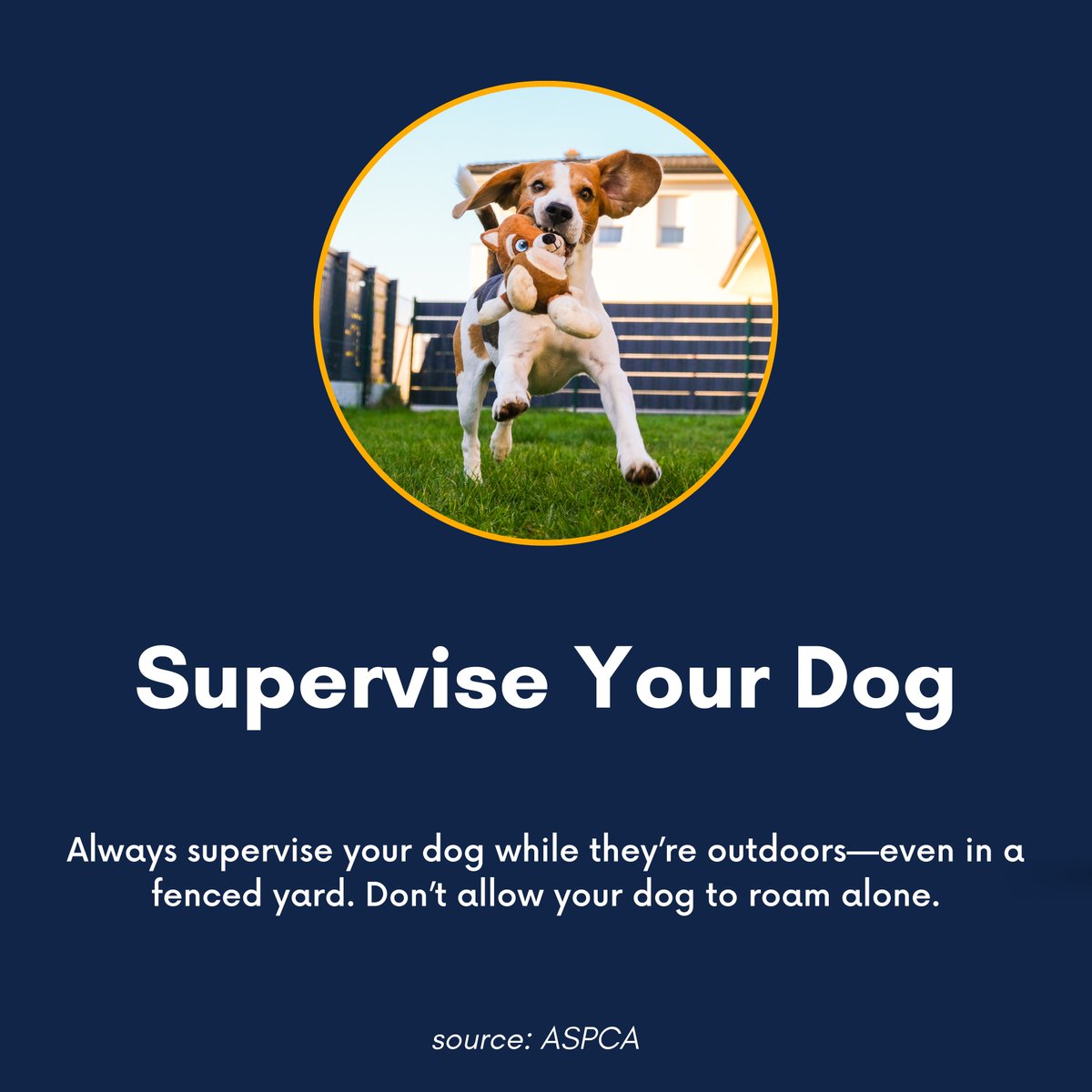 April 7-13 is Dog Bite Prevention Week! We love our pets and want the best for them! To help, we’ve collected some tips from the ASPCA.

#FryGoehring #YourGeorgiaAttorneys #PersonalInjuryAttorneys #DogBitePreventionWeek