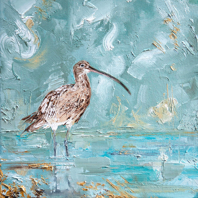 Curlew's hauntingly beautiful cry can be heard through any seascape as the wind takes it to where it belongs. When he shares his melancholy call with the world, it's not to cause sadness. He knows all songs exist to be heard, and his cry is a song too. The song of his soul.