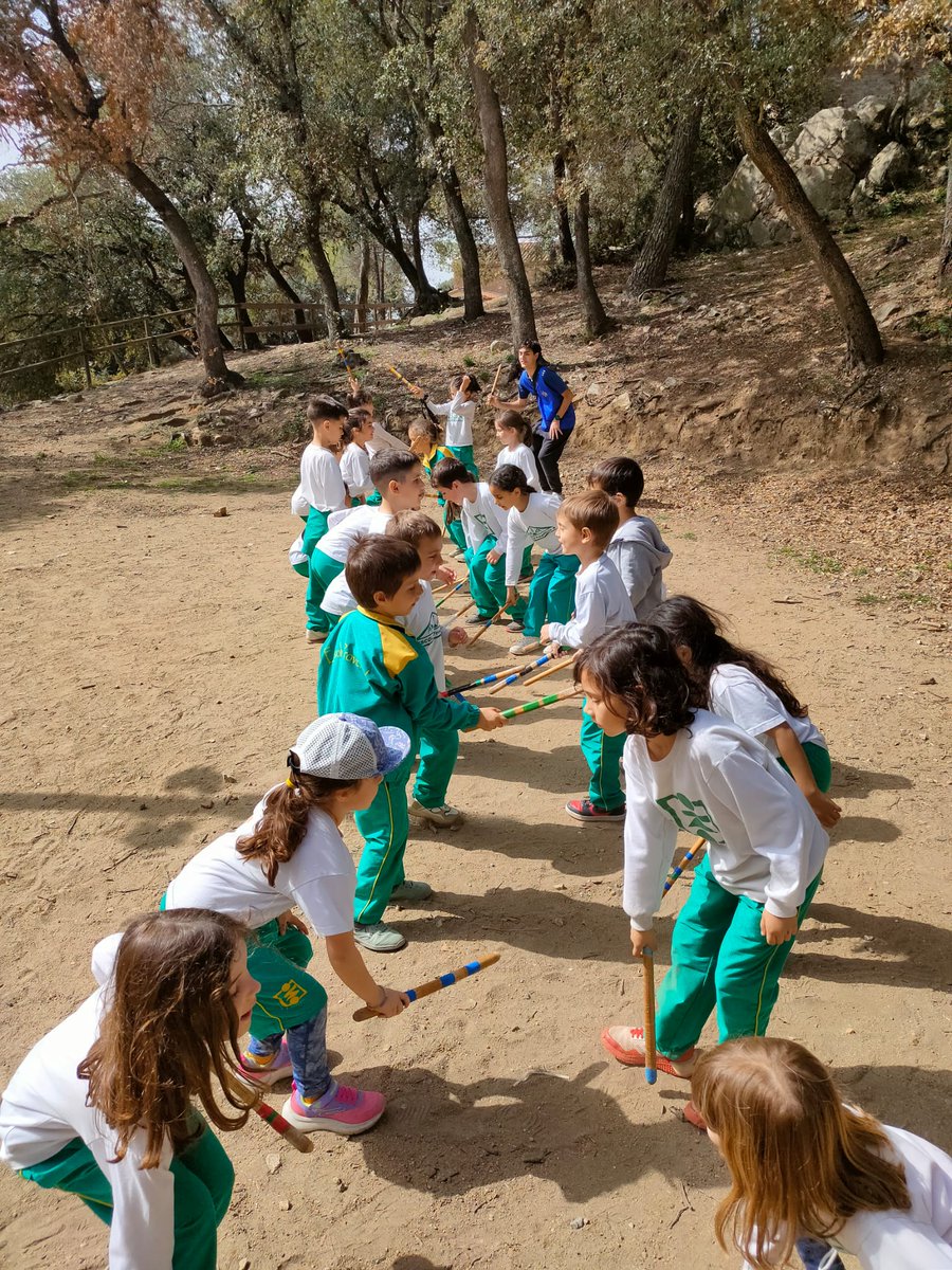 Escola PROVENÇALS tweet media