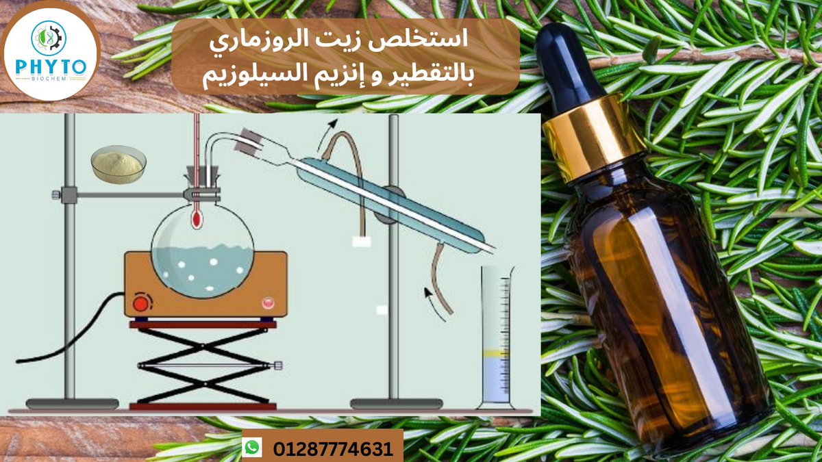استخلص زيت الروزماري بكفاءة مضاعفة مع إنزيم السيلوزيم🌿💧 احصل على نسبة تصل إلى 20% من الزيت مع الحفاظ على جودته ومركباته الفعّالة. 🌟🔬#زيت_الروزماري #إنزيم_السيلوزيم #استخلاص _الزيوت
لمزيد من التفاصيل  سيب  رقمك وسنتواصل معك من خلال مهندسين متخصصين