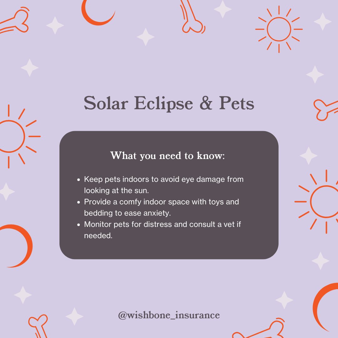 Solar eclipse safety tip: Not only is it crucial to shield your pet's eyes from the sun, but remember to protect your own eyes too! Keep pets indoors and enjoy the celestial show safely. 🌞🐾

#SolarEclipseSafety #WishbonePetInsurance #SolarEclipse #PetSafety #PetParents