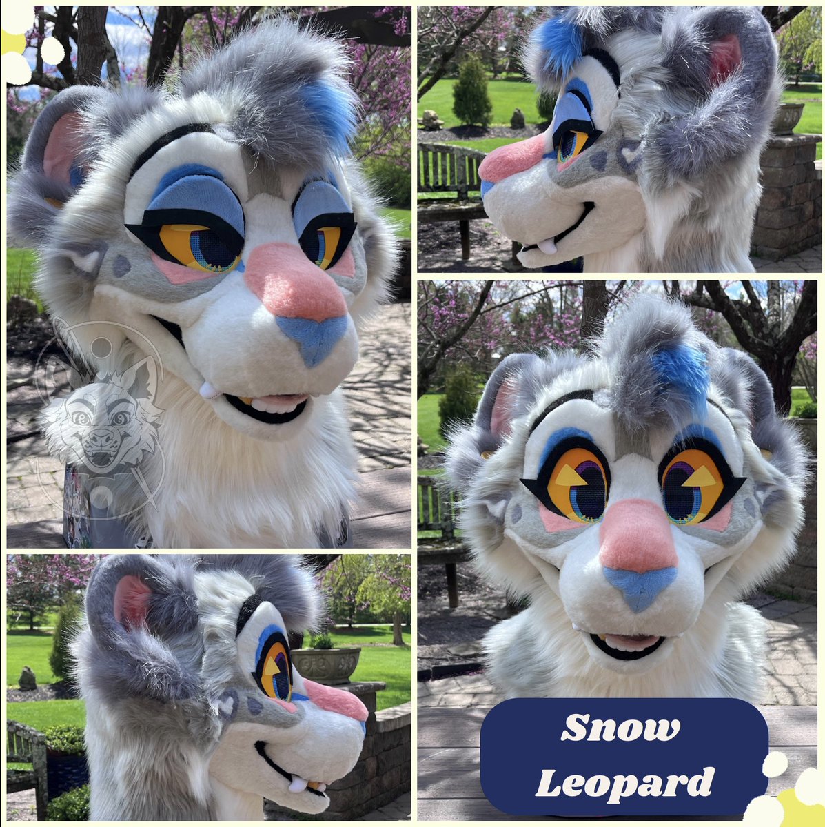 ❄️SNOW LEOPARD PREMADE FOR GRABS❄️ All her info + extra photos on my telegram channel here! t.me/SheenitudePrem…