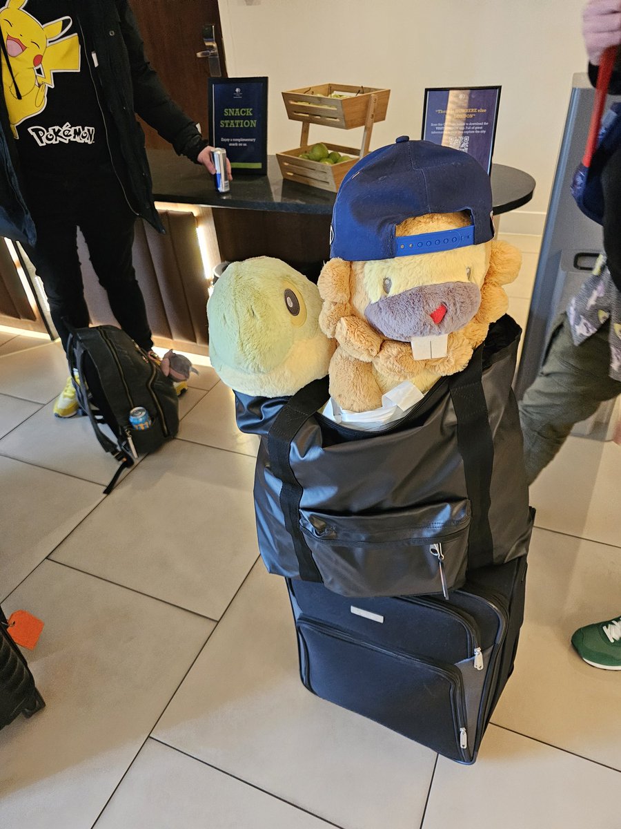 mean_goat's tweet photo. Had a great time at #EUIC2024!  The deck didn't do well but I had the best weekend ❤️

Shout out to @Morpekotrainer, @janstad, @Kinagi_ and @Davve208 for being the best teammates and to  @SecretSantaXVI for giving me so many excuses to take plushie photos
#PokemonTCG #E040 https://t.co/YCG6j3zOes