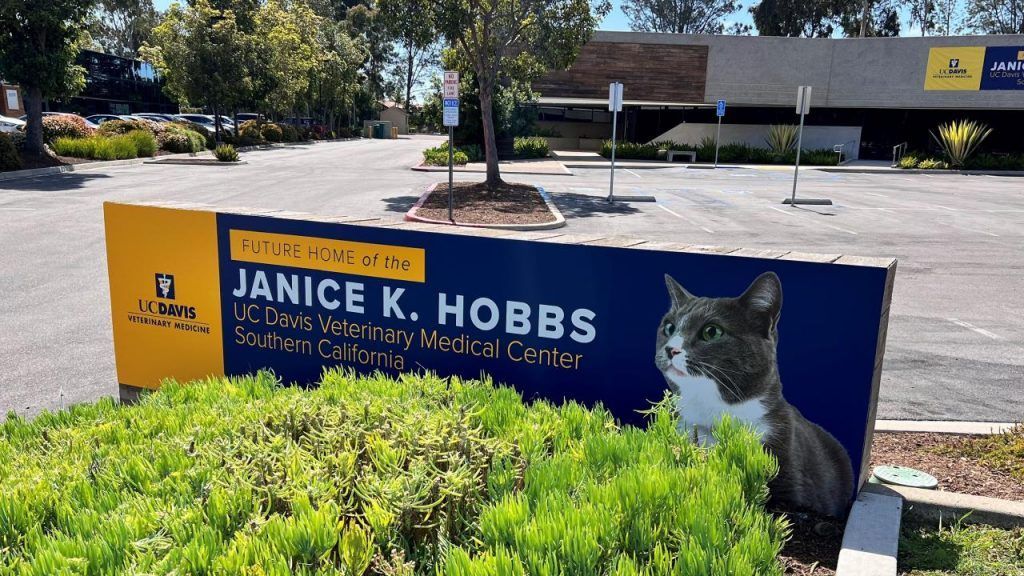 Greater capacity in specialty animal care aim of new San Diego center opening in 2025 buff.ly/4aKoULI