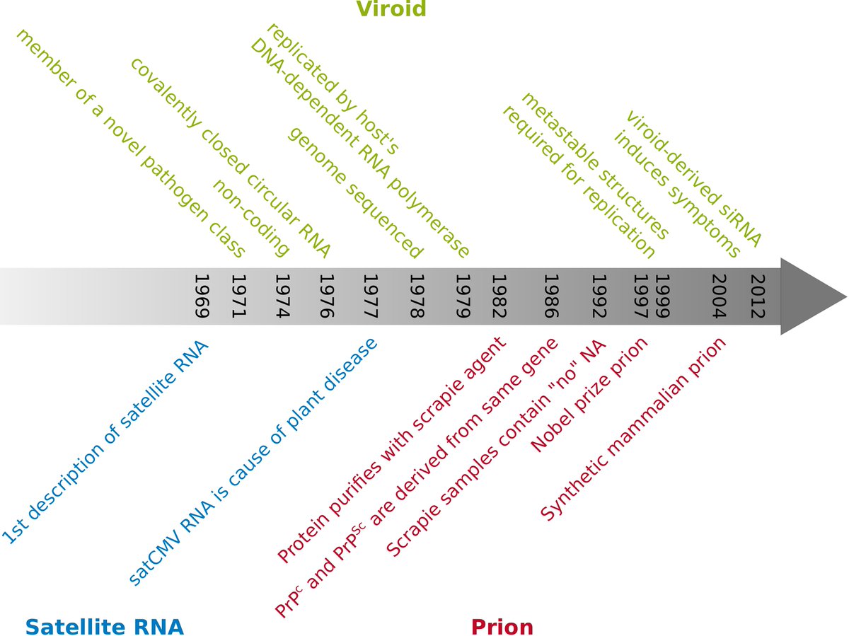 ‼️Editor's Choice article🧬 T.O. Diener discovered #Plant -infectious RNAs (#viroids) opening the field of subviral pathogens. Infectious proteins (#prions) were discovered as agents of scrapie and kuru; many neurodegenerative diseases are prion diseases👉 t.ly/FrgRp