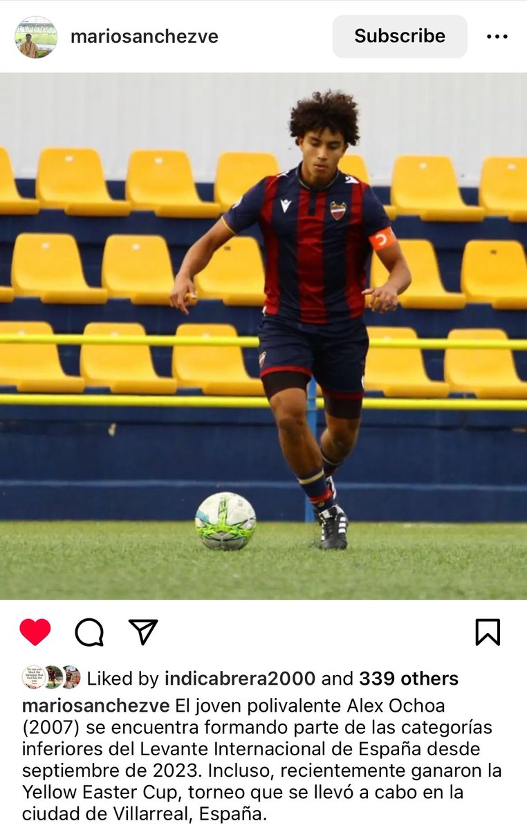 Mario Ochoa tweet media