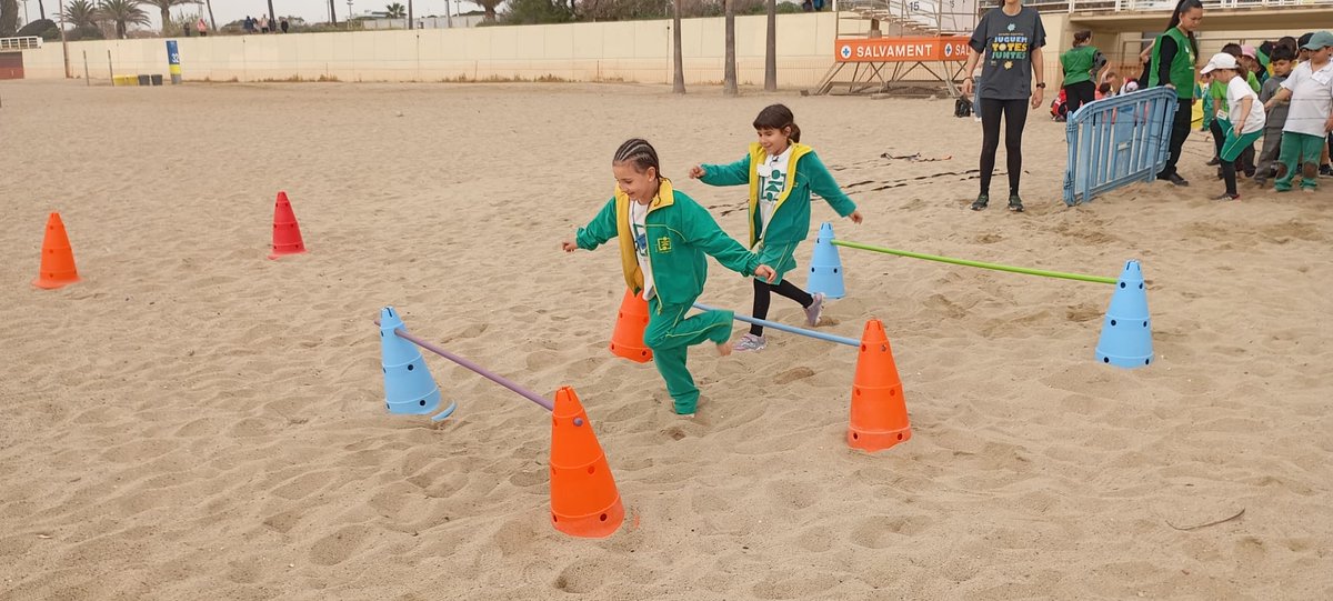 Escola PROVENÇALS tweet media