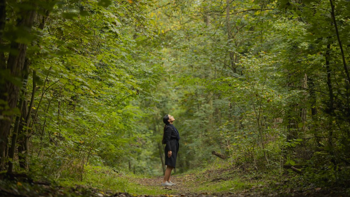 Unser Tipp für diese (hoffentlich nicht zu stressige) Arbeitswoche: Drehen Sie zum Feierabend eine Runde durch den Wald! So macht es auch @donya_gilan, die als Resilienzforscherin weiß, wie man Stress den Rücken kehrt. 👇 leibniz-magazin.de/alle-artikel/m…