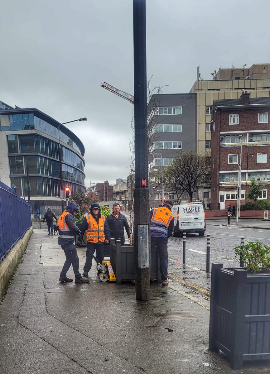 It was great to see our New Planters arrived today at @theiveaghtrust Kevin Street D8 as we are working alongside the team at Parks department St Patrick's & Merrion Parks to help bring our Award winning garden outside @DubCityCouncil @DubCityEnviro @ivanabacik @VoteEddie2024