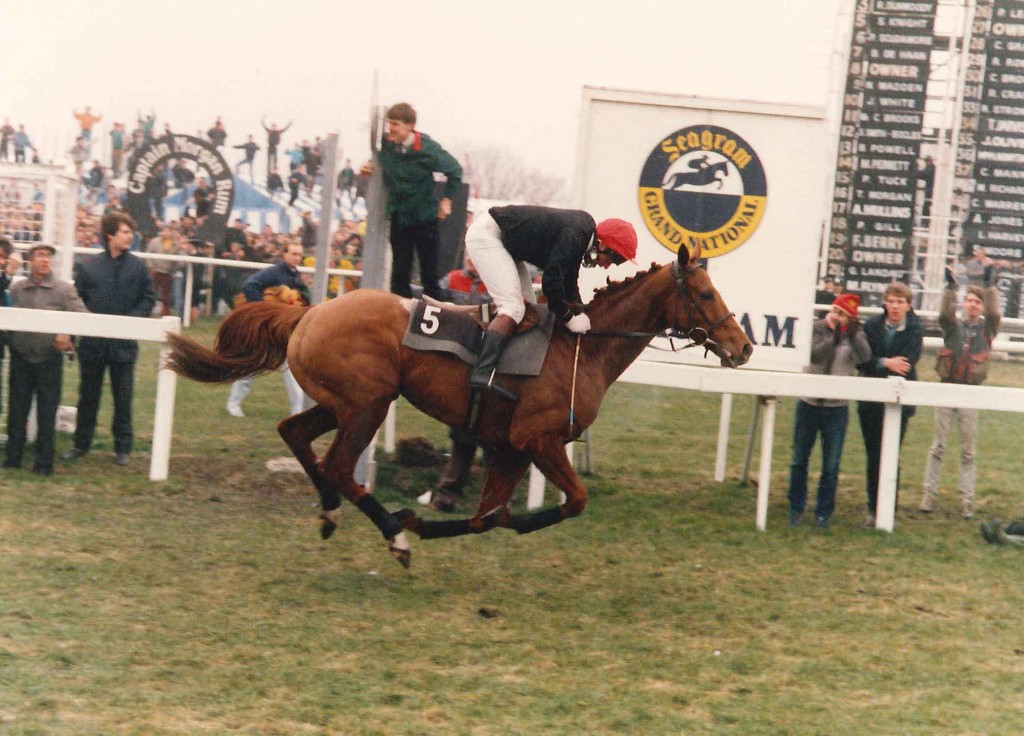 ⏮️ #throwbackthursday It's Grand National Opening Day! 𝐌𝐀𝐎𝐑𝐈 𝐕𝐄𝐍𝐓𝐔𝐑𝐄 won the 1987 Grand National! 🏆He was retired to Childwickbury Stud following the win! Owned by Jim Joel who was one of only a handful of owners to have won both the Derby (1967) and the National✨