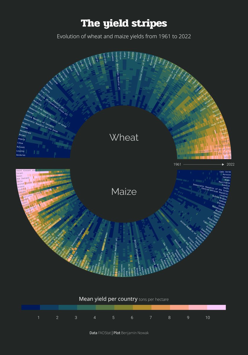 🦓For #Day23 (time series X tiles) of #30DayChartChallenge, a repost of the yield stripes (radial version), showing the evolution of wheat and maize yields since 162 🔗Link to #RStats code: github.com/BjnNowak/TidyT…