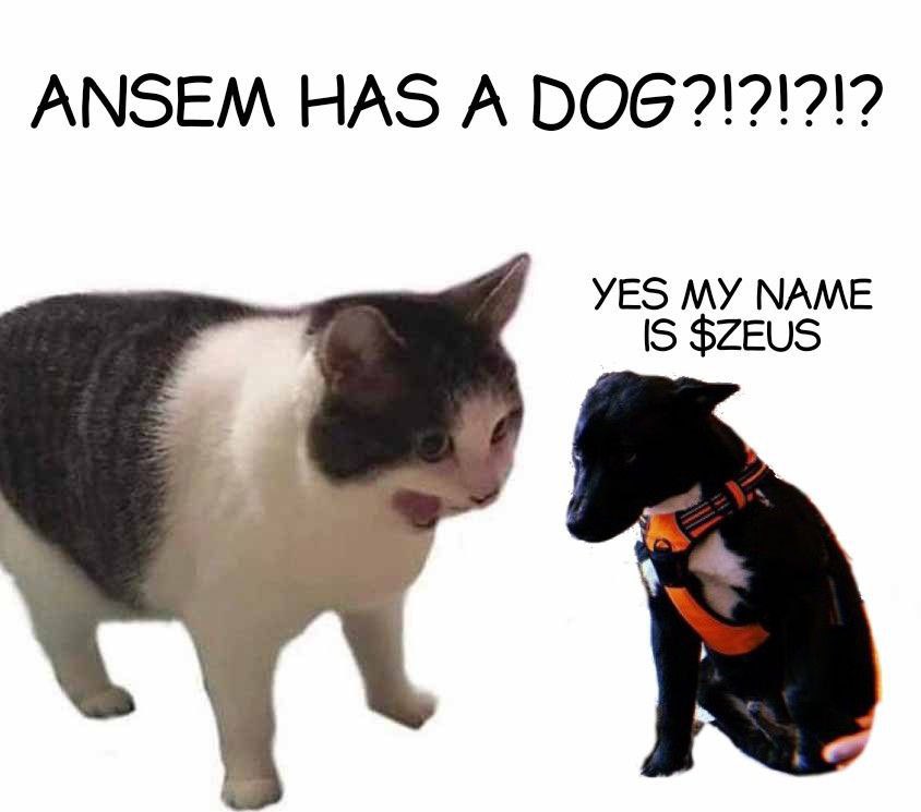 <a href="/greg16676935420/">greg</a> ansem has a dog

<a href="/zeuscoinsol/">Zeus on Solana</a>